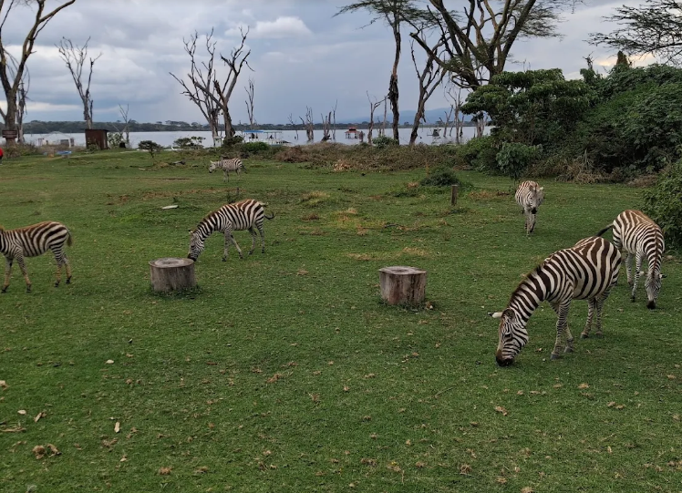 Lake Naivasha Country Club